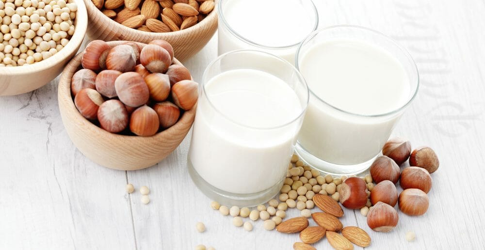 Quel est le lait végétal le plus gras